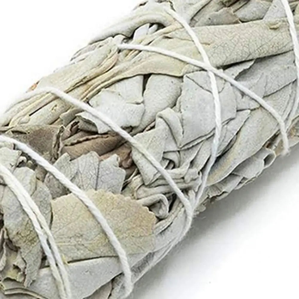 10cm White Sage Bundles – Natural Energy Cleansing for Your Space