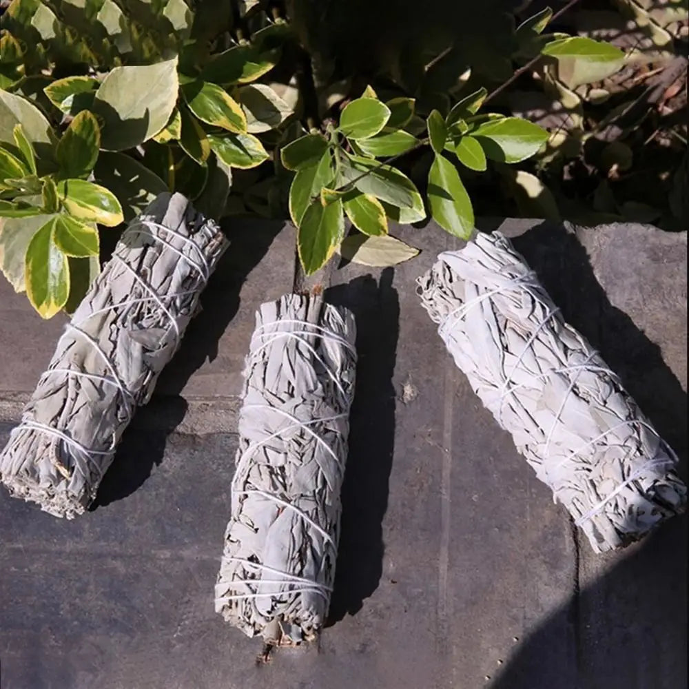 10cm White Sage Bundles – Natural Energy Cleansing for Your Space